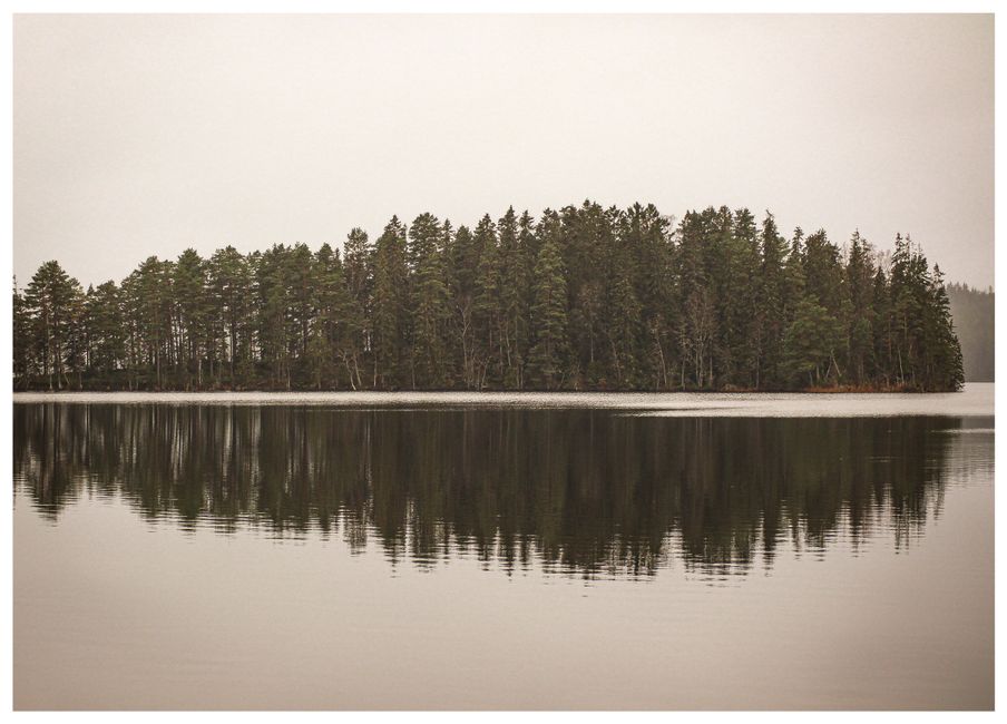 A peaceful forest reflecting on a calm lake under a cloudy sky, evoking tranquility.